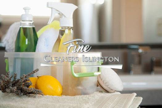 domestic cleaning